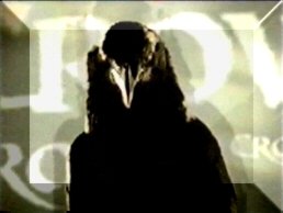 the crow